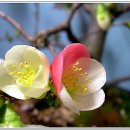 신동농장 이미지