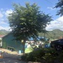 화양빌리지펜션 이미지