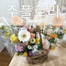 주플로