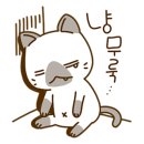 정자약국 이미지