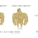 반제 이미지