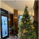 비봉로L | 진주 속눈썹 연장 펌 시술별 차이점과 건강하게 오래 지속하는 방법