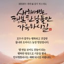 건강한 먹거리/돌나라 오아시스 농장 이미지