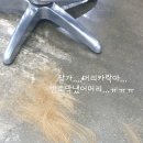 안성미장원 네이버블로그