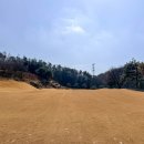 채인지 골프연습장 | 골프 남자 드라이버 추천 직진본능 미즈노 JPX ONE