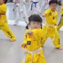 계명대 마루태권도장 이미지