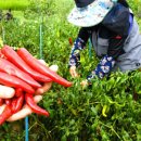 함줄공원 이미지