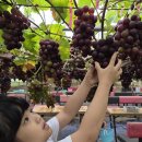 용인대호수태권도장 이미지