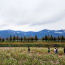 사포마을회관 이미지