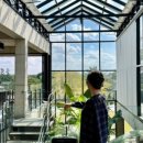 두모 542 이미지