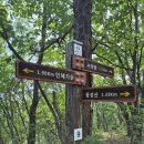 다래산장 민박 이미지