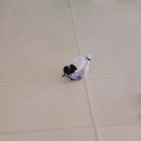 멍쓰홀릭 이미지