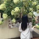 사랑해요동물병원 | 답 없는 망한 매직, 압구정 그라티에 복구 크리닉으로 광명 찾은 솔직 후기 머리카락 응급실 인정