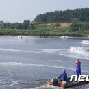 왕새우신안