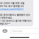 해뜰우