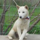 찬호축산 이미지