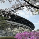 수원월드컵경기장 | 수원 월드컵경기장 봄꽃 실시간 주차 맛집 카페