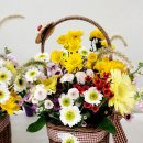 기장초등학교병설유치원 이미지