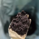 삼광농장 이미지