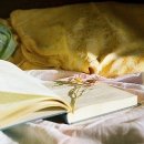 갈매기놀이터 이미지