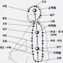 단전 명상호흡 기 氣의 개념 인체의 기공 운동과 기화 이미지