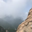 스피야지 이미지