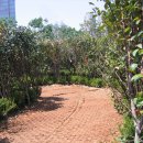 미로정원 이미지