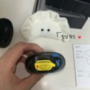 전동 | [리뷰] 네일팟 전동 손톱깎이 (솔직후기/실사용후기)