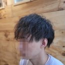 비오미장