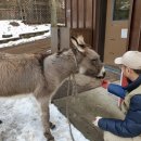 베어팜(주) 이미지