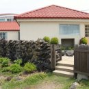 제주시절 이미지