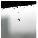 공명(共鳴) 이미지