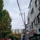 코드엠 트레이닝 | 오금동PT 찐 추천 : 코드엠트레이닝그라운드 방이점