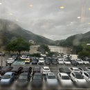 백마강참숯민물장어 이미지