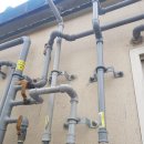 푸드앤프랜드 이미지