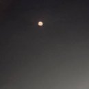 달빛 - 부산진구 서면문화로 23 | 달빛