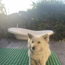 오씨주택 이미지