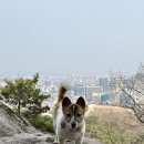 역말로 | 은평구 맛집 [농주사이더바] 직접 농사짓고 양조한 애플사이더 찐 맛집 내돈내산 후기