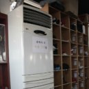 복싱 바이러스 체육관 이미지