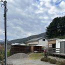 북면124 | 가평 아늑한 펜션 , '낮잠' 오후 2시 이용 상세 후기 (개별 자쿠지 O /개별 수영장 O)