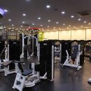 헬스 스타짐 이미지