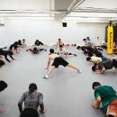 케이레슬링 MMA체육관 이미지