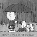 서귀포셀프세차장