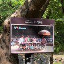 개울 | 경기 광주 카페 남한산성 개울테라스 애견동반 주말후기 주차정보