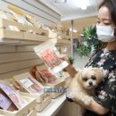 프랑소와펫 롯데일산점 한국경제TV