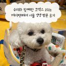 슈리페어 - 미추홀구 주안로 68 | 슈리와 함께한 코엑스 2025 케이펫페어 서울 생생 방문 후기