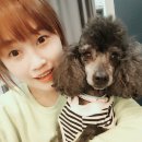 띵크온 이미지