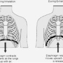 헬스보이짐 앤 필라걸 용문역점 이미지