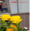 이레 행정사 사무소 이미지