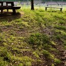 석수체육공원 이미지